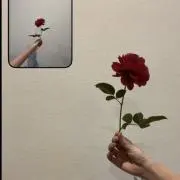 MKの画像