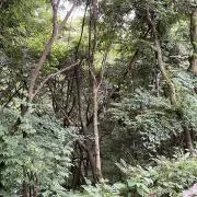 鶴橋の画像