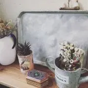 CKNの画像