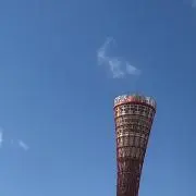 Rekの画像
