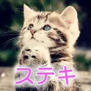ピンクピンクベア