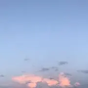 Chiの画像