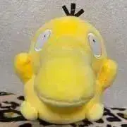 コダックの画像