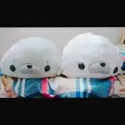 Tomo