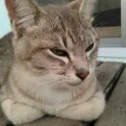 ☆ワイド☆