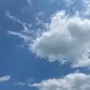 とむの画像