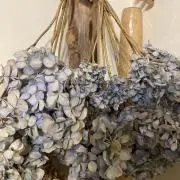 あまあまの画像