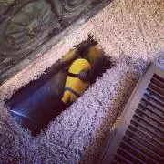 てん