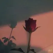 しおりの画像