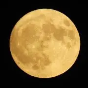 マニ屋の画像