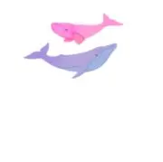 miccの画像