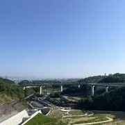 大五郎の画像