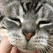 daidaiの画像