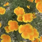 ゆうちゃん プロフ必読の画像