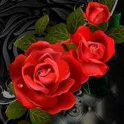 はるひ♦プロフ必読♦