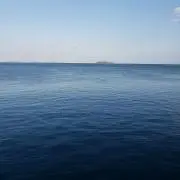 まつやまの画像