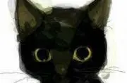 kiki