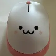 トト