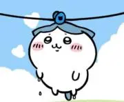 あっちゃんの画像