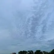 mの画像