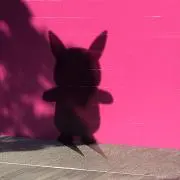 kumakoの画像