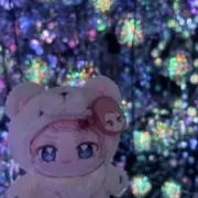 ねこの画像