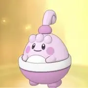 こあらの画像