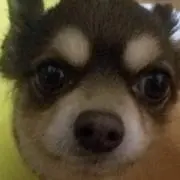 ♡ちゃみちゃみ♡発送日はプロフ参照の画像