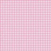 うめぼしの画像