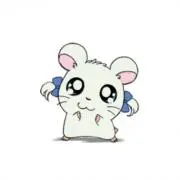 あや