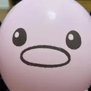 Yuの画像