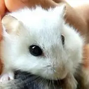 ラブリー♡