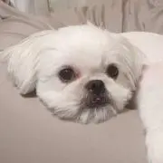 まーくんの画像