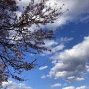 めあの画像