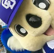 はる☆の画像