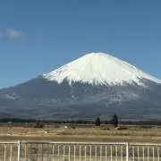 かるぴーずの画像