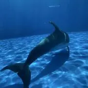YOASOBIの画像