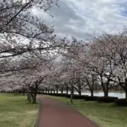 たけの画像