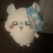 チャスティの画像