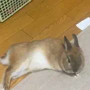 みのり