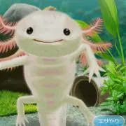taの画像
