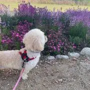 Yukaの画像