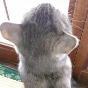 Kの画像