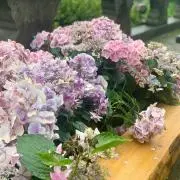 ゆんの⭐︎格安の画像