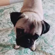 もじもじの画像