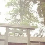 ナチュラル