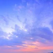 yakaの画像