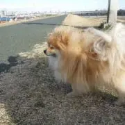 ♔∴ ∵ひろっぷ∴ ∵ ♔の画像
