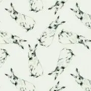 ponの画像
