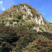 たかえ